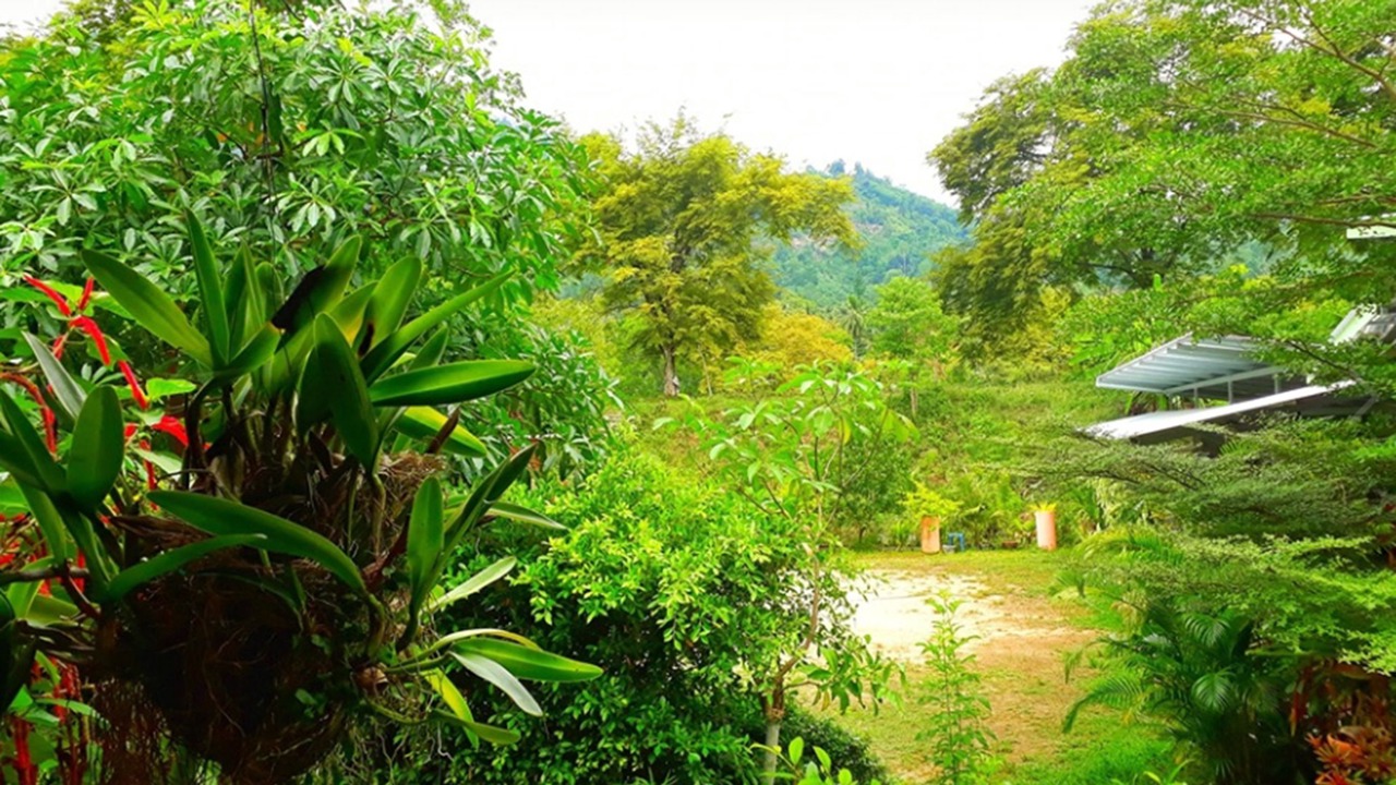 Photo of Outdoor in Kamlon