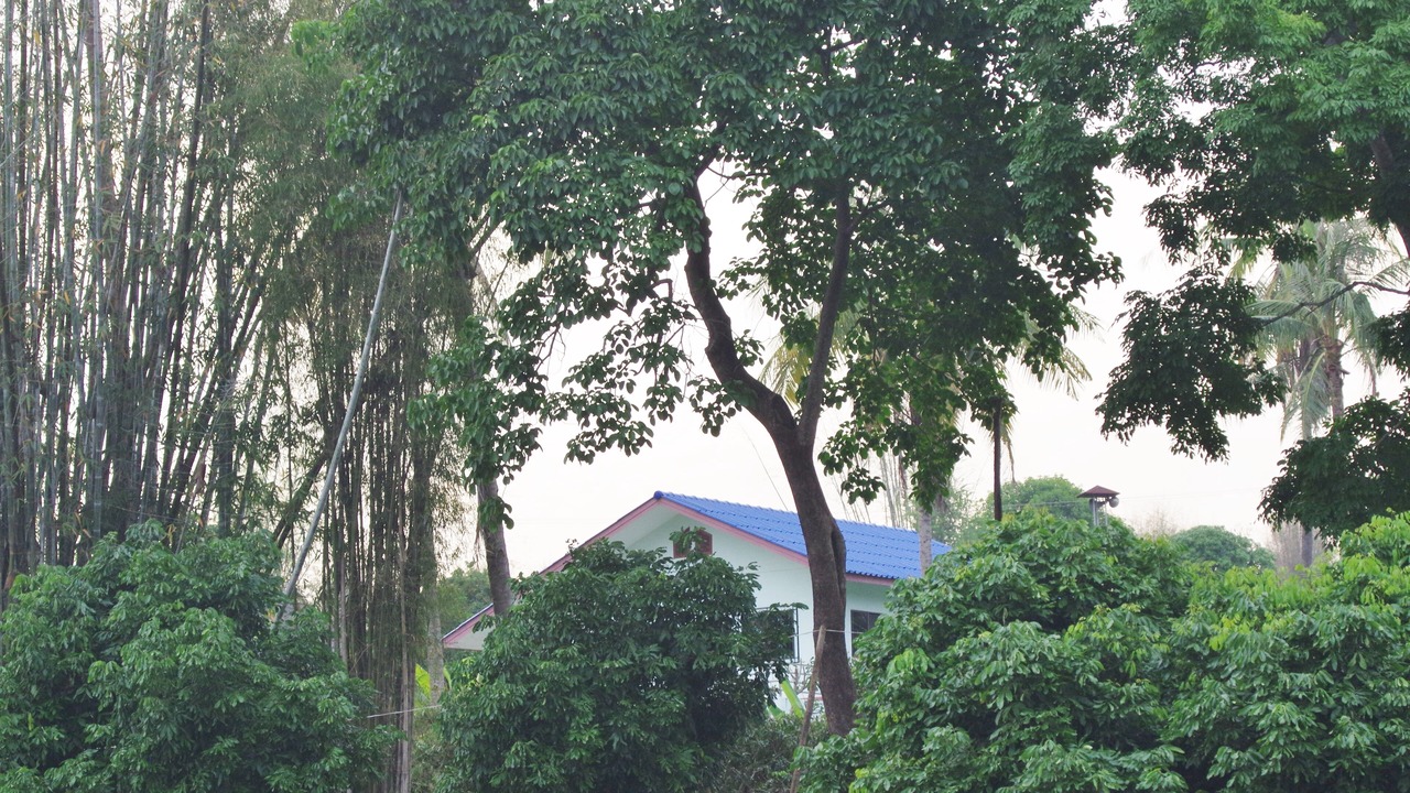 Photo of Outdoor in Mae Taeng