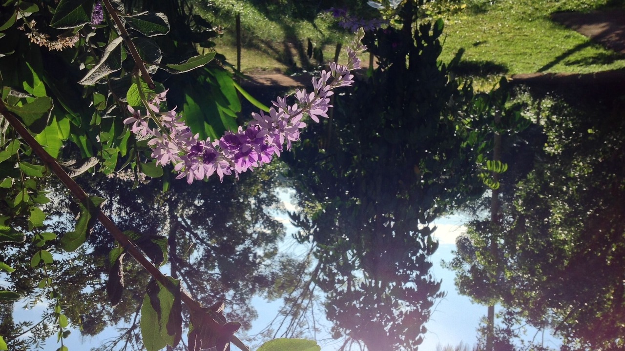 Photo of Outdoor in Sai Thai