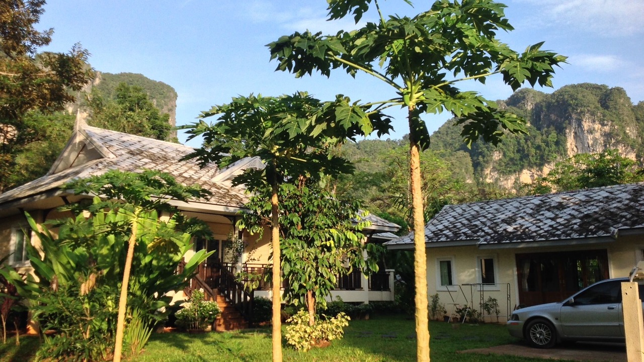 Photo of Outdoor in Sai Thai