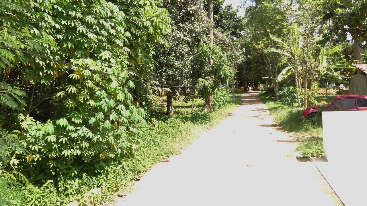 Photo of Outdoor in Sai Thai