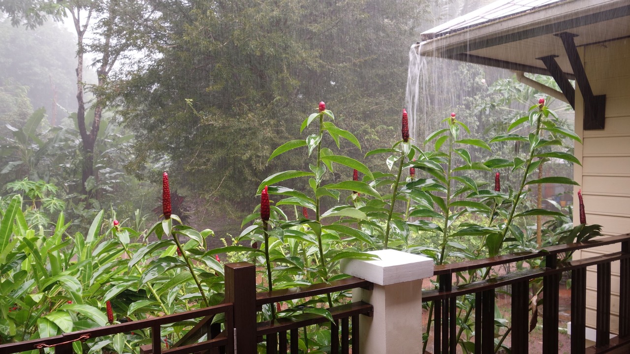 Photo of Outdoor in Sai Thai