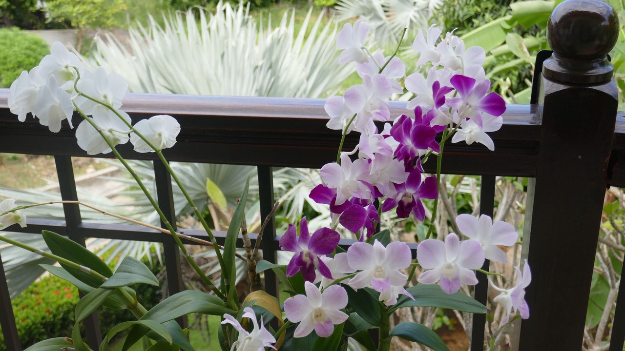 Photo of Outdoor in Ko Lanta
