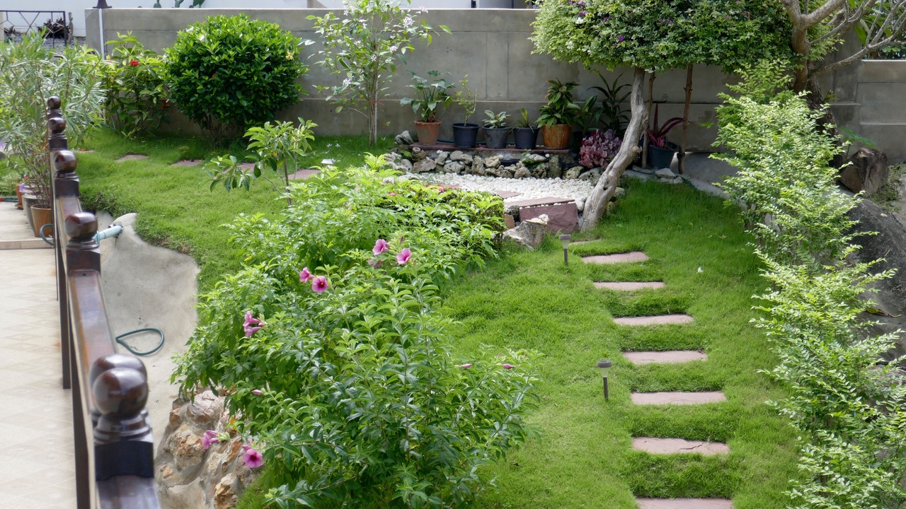 Photo of Outdoor in Ko Lanta