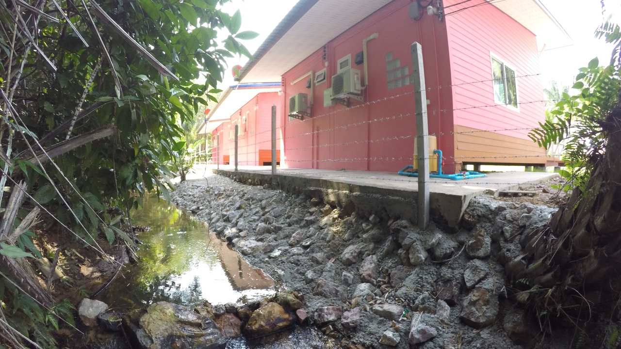 Photo of Outdoor in Pak Khlong