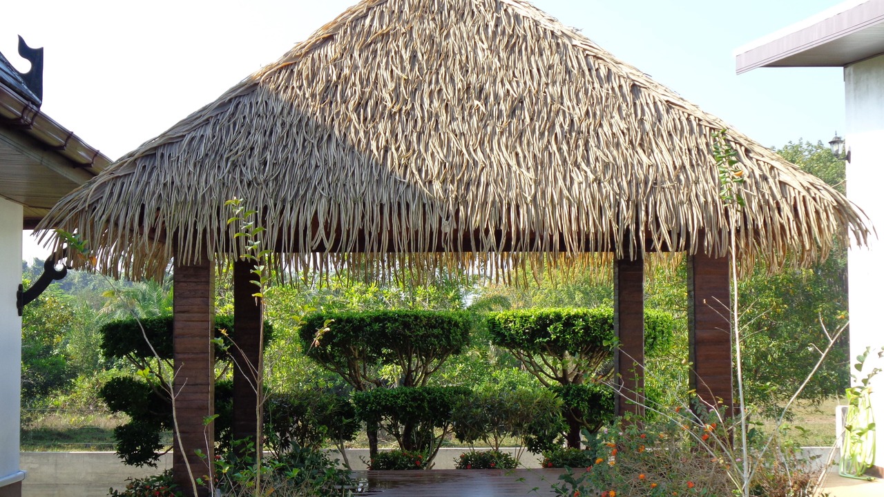 Photo of Outdoor in Krabi