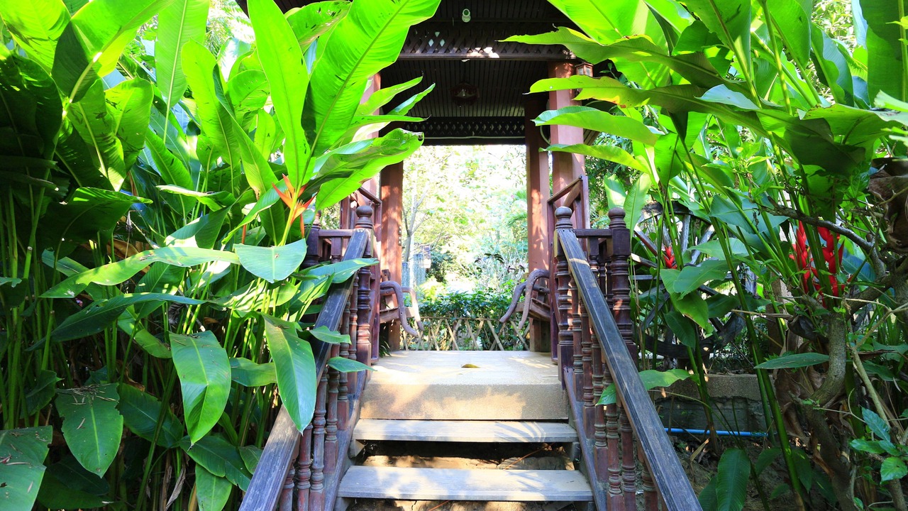 Photo of Patio Balcony in Wat Ket