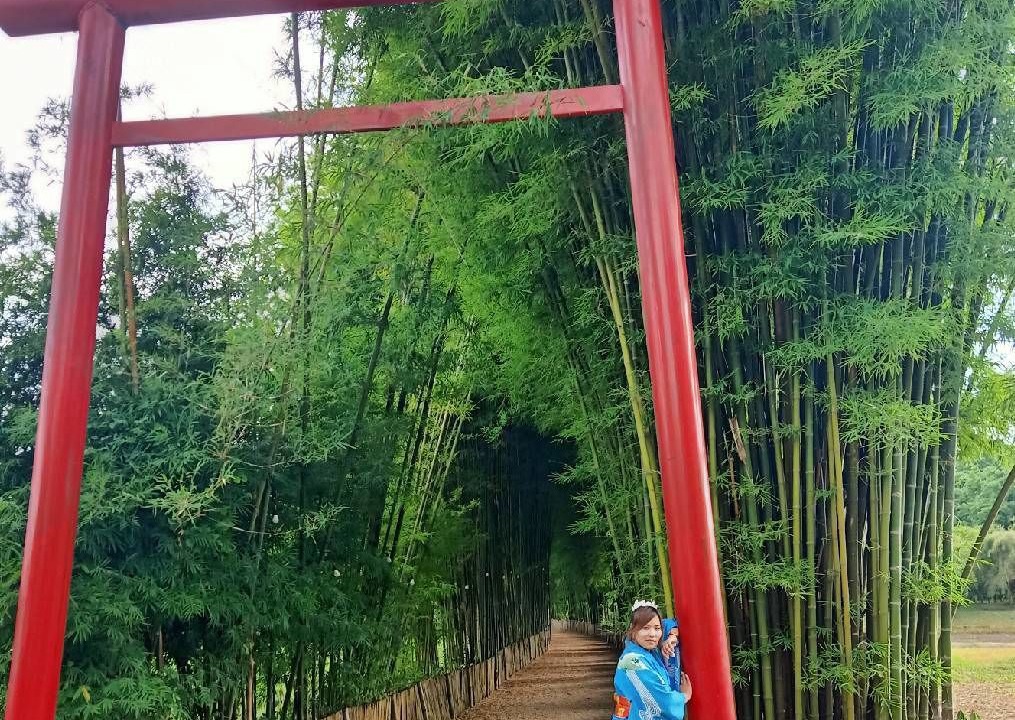 Photo of Others in Sop Poeng