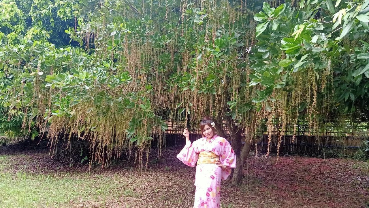 Photo of Outdoor in Sop Poeng