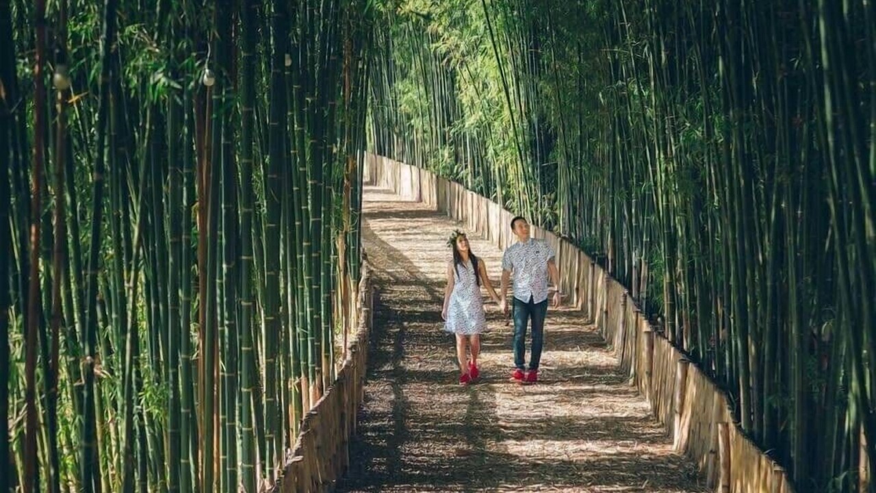 Photo of Outdoor in Sop Poeng