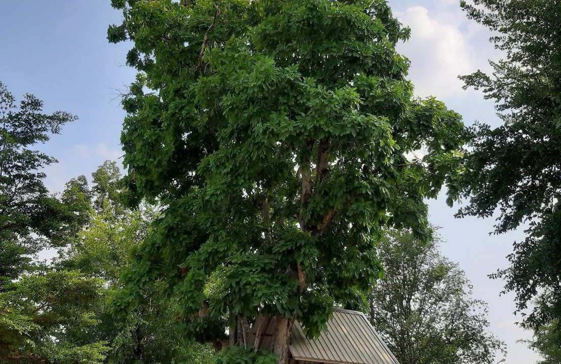 Photo of Outdoor in Roi Et