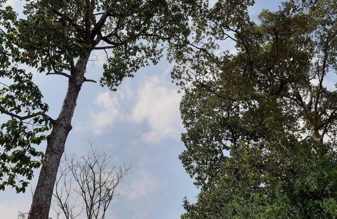 Photo of Outdoor in Roi Et
