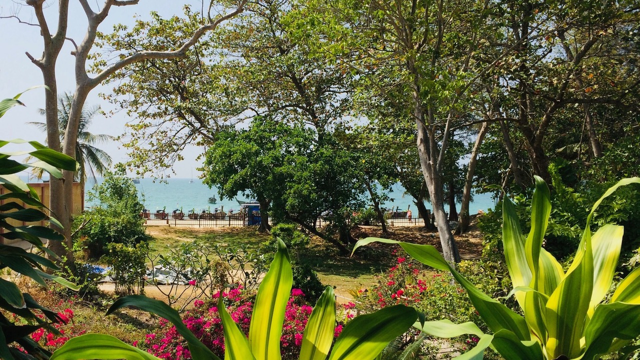 Photo of Outdoor in Krabi