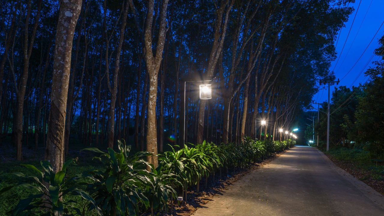 Photo of Outdoor in Sai Thai
