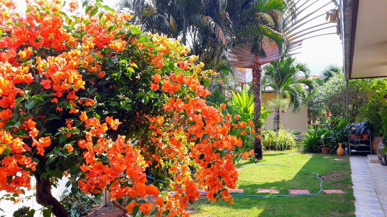 Photo of Outdoor in Sam Roi Yot