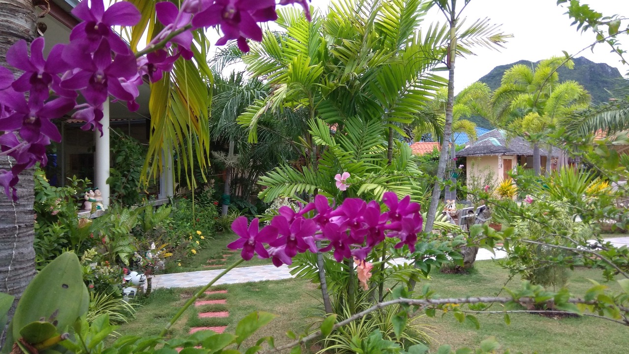 Photo of Others in Sam Roi Yot