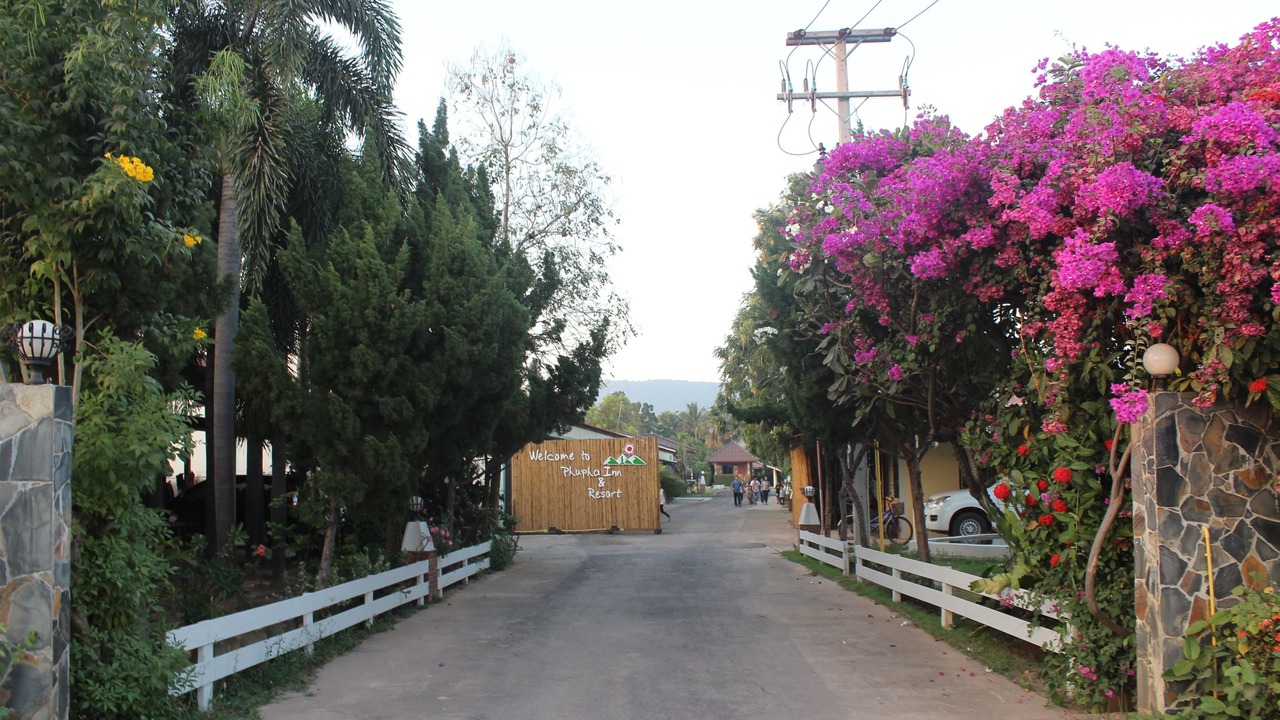 Photo of Outdoor in Wang Thong
