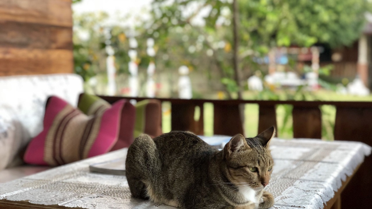 Photo of Others in Wang Thong