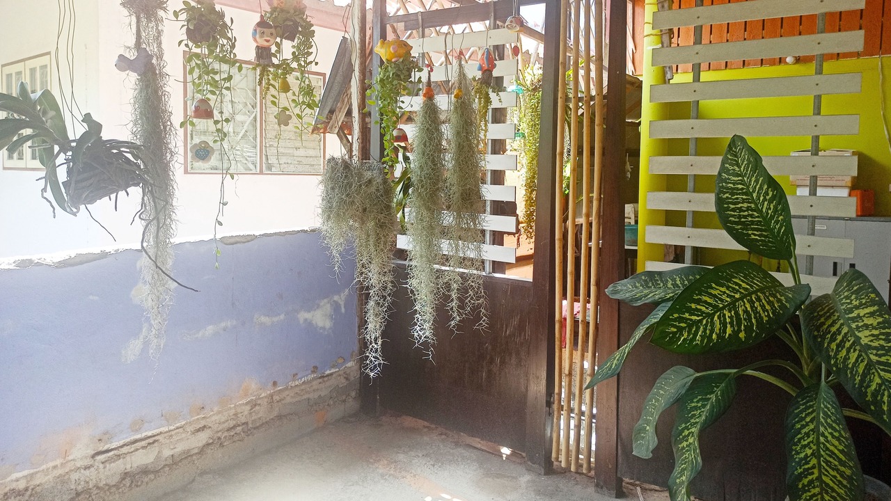 Photo of Outdoor in Mai Khao
