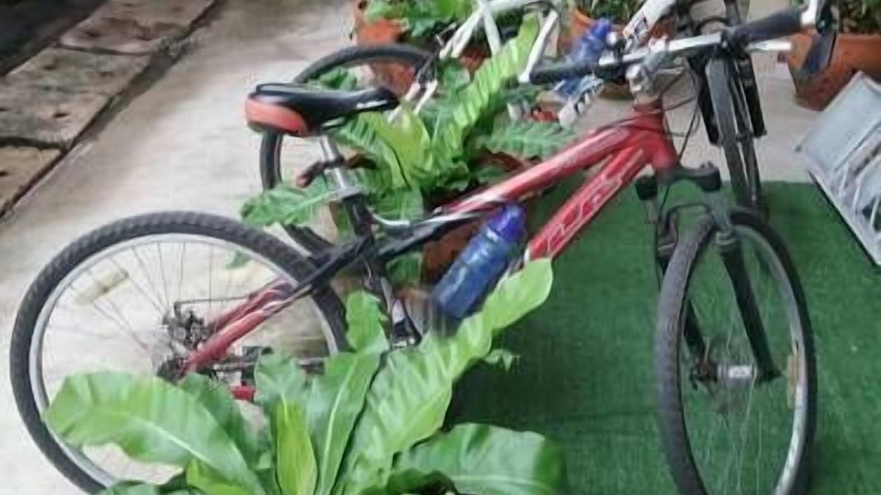 Photo of Outdoor in Sawang Arom