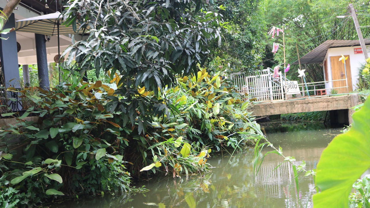 Photo of Outdoor in Nan