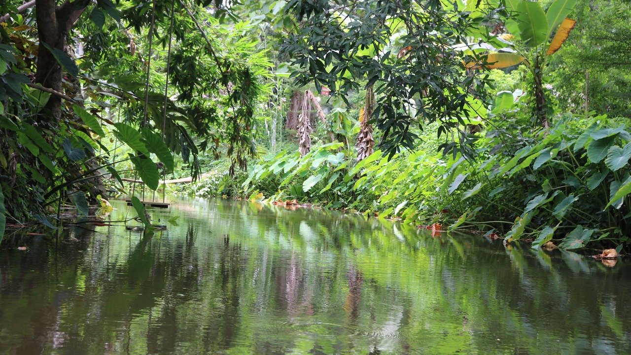 Photo of Outdoor in Nan