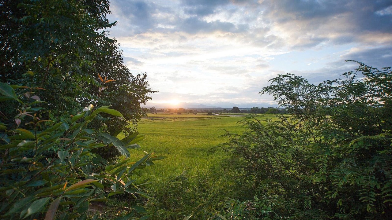 Photo of Outdoor in Mae Faek Mai