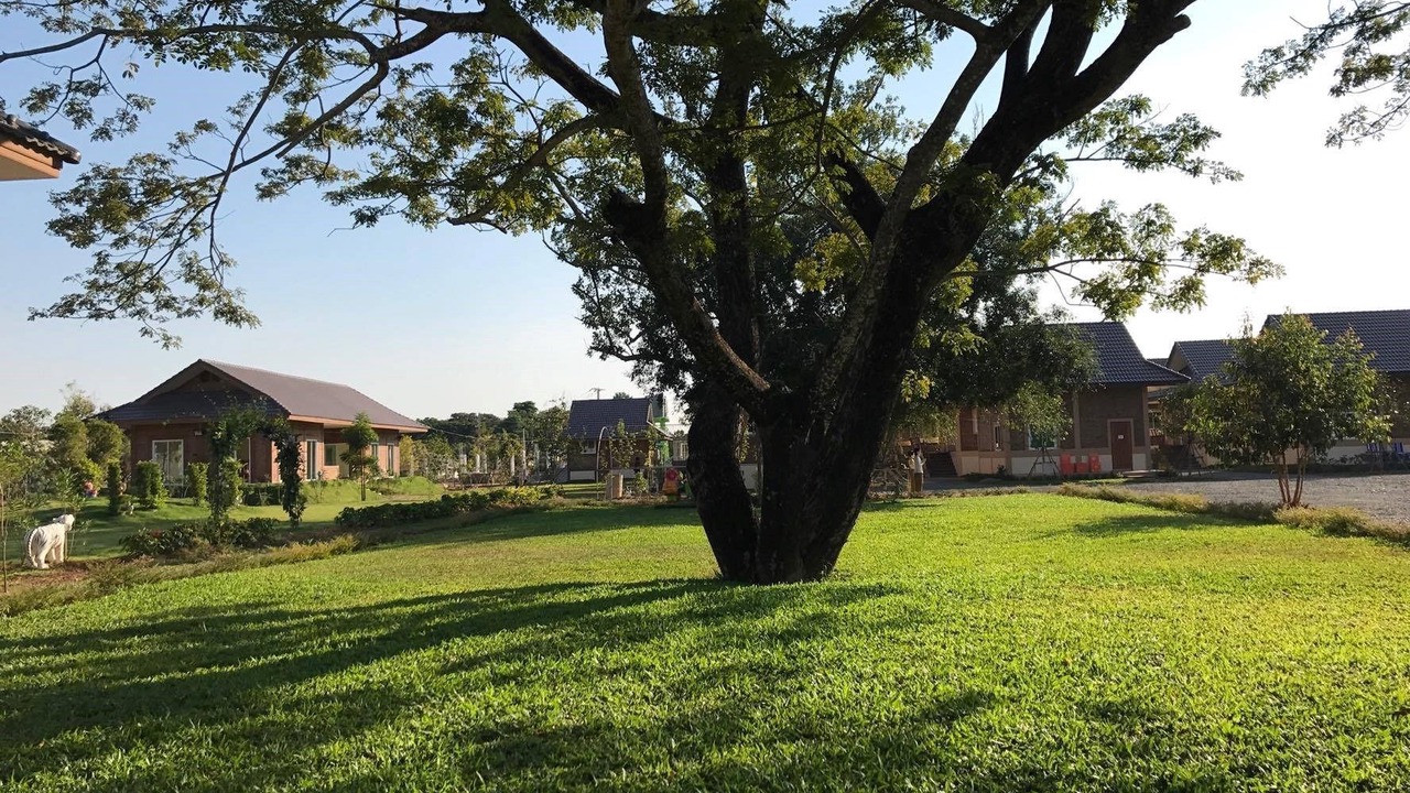 Photo of Outdoor in Mae Faek Mai