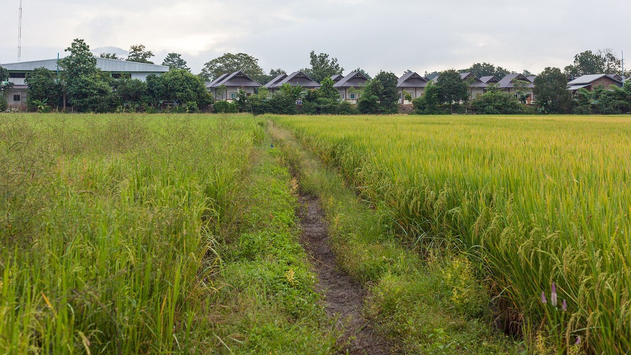 Photo of Outdoor in Mae Faek Mai