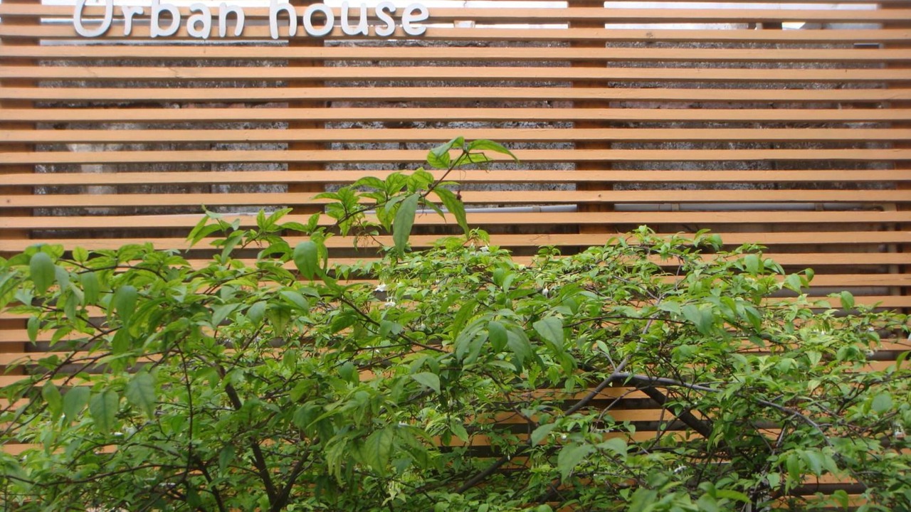 Photo of Outdoor in Embassy District