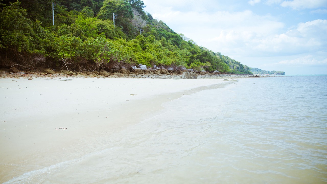 Photo of Others in Ko Phi Phi