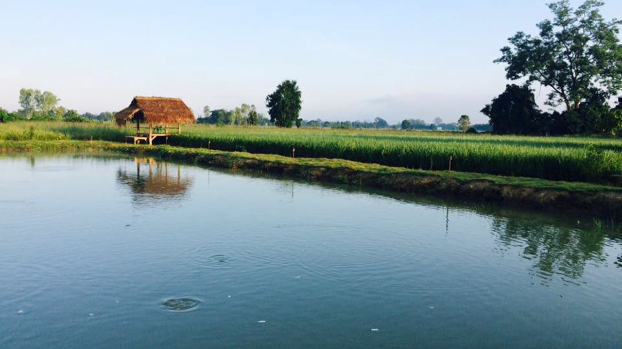 Photo of Outdoor in Mae Pu Kha