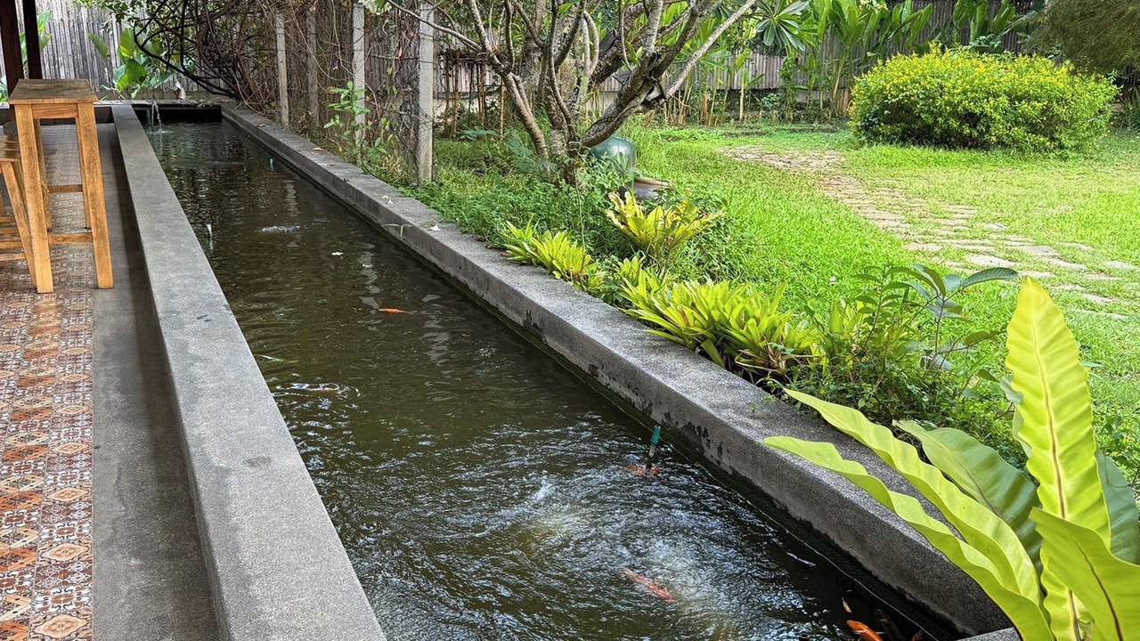 Photo of Outdoor in San Kamphaeng