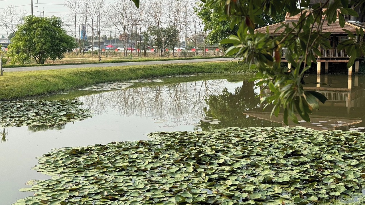 Photo of Others in San Kamphaeng