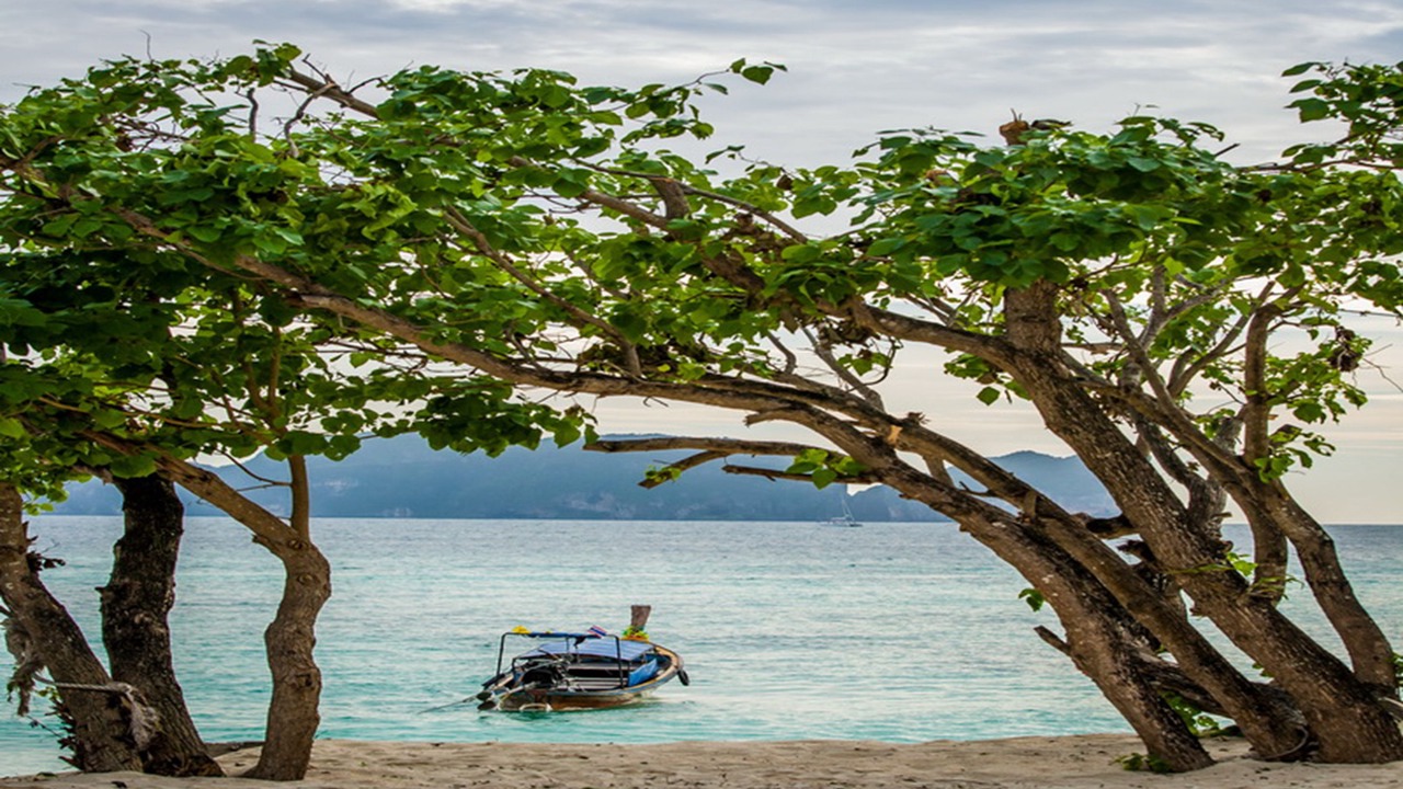Photo of Others in Ko Phi Phi