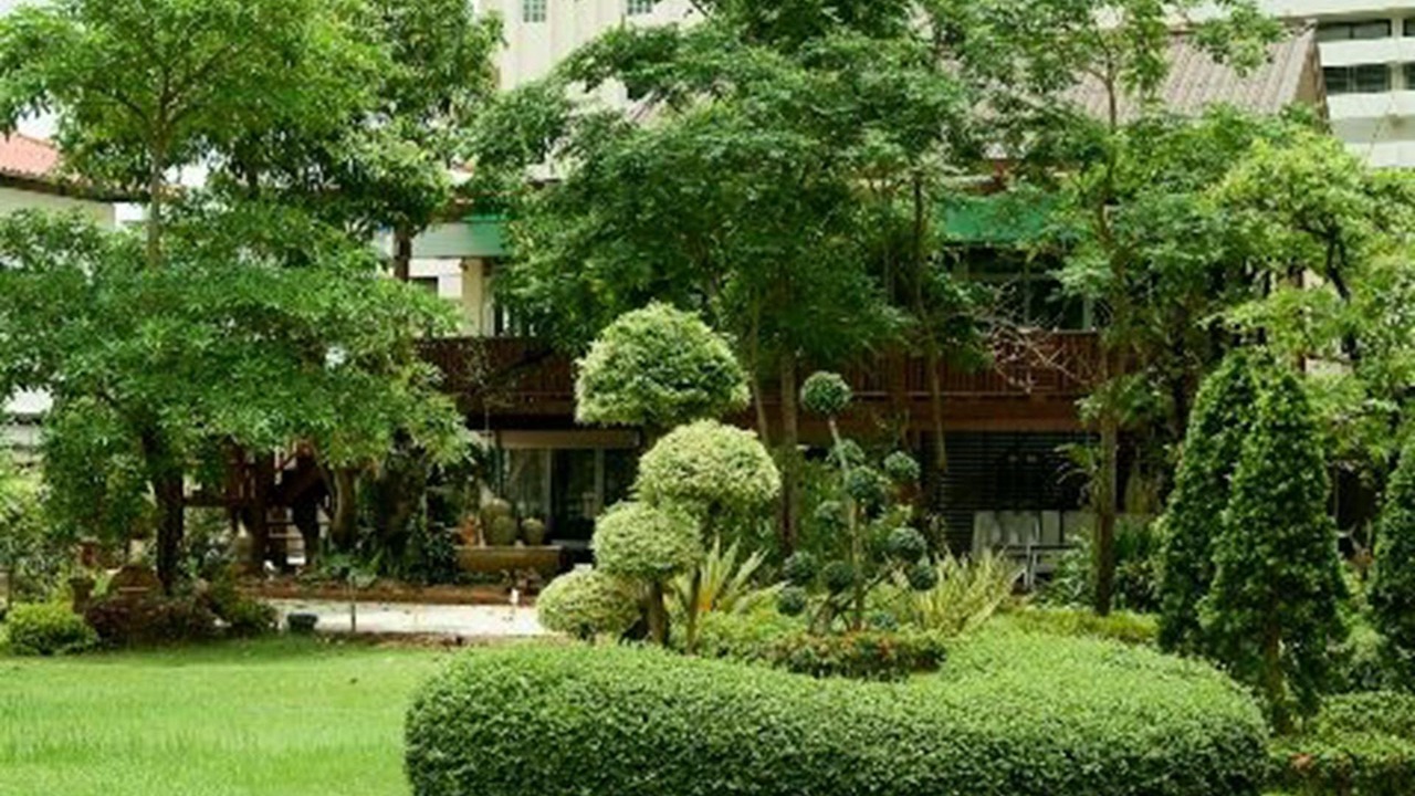Photo of Outdoor in Wang Phinphat