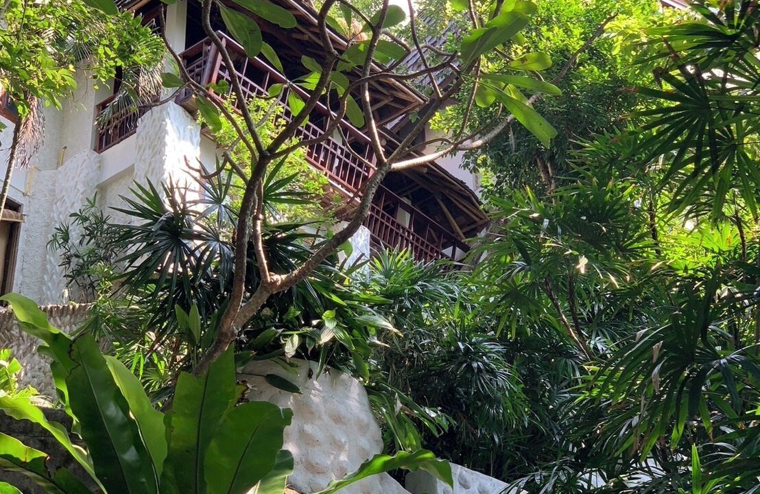 Photo of Outdoor in Koh Tao