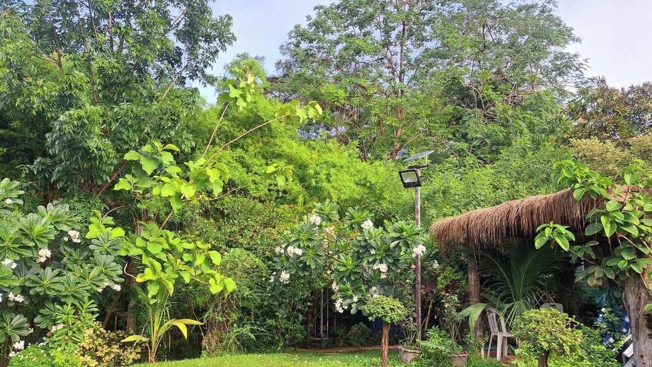 Photo of Outdoor in Khlong Luang