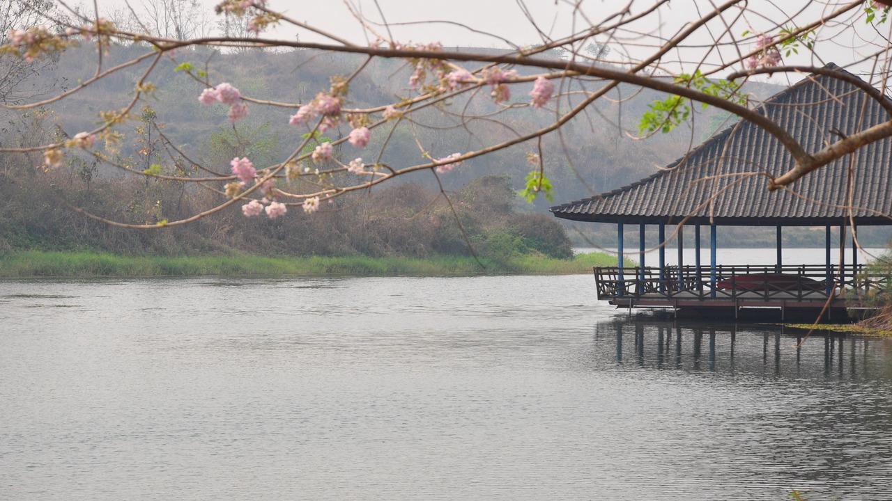 Photo of Others in Dan Sai