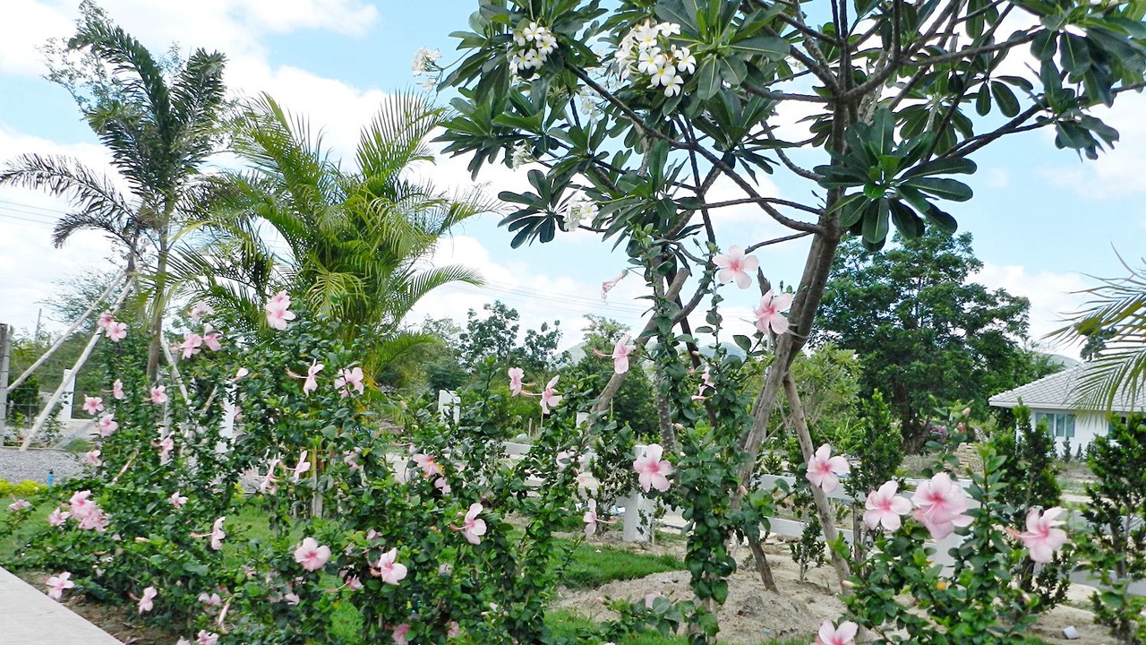 Photo of Outdoor in Kao Yai
