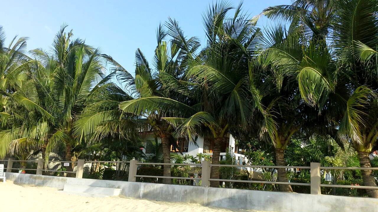 Photo of Others in Bang Po