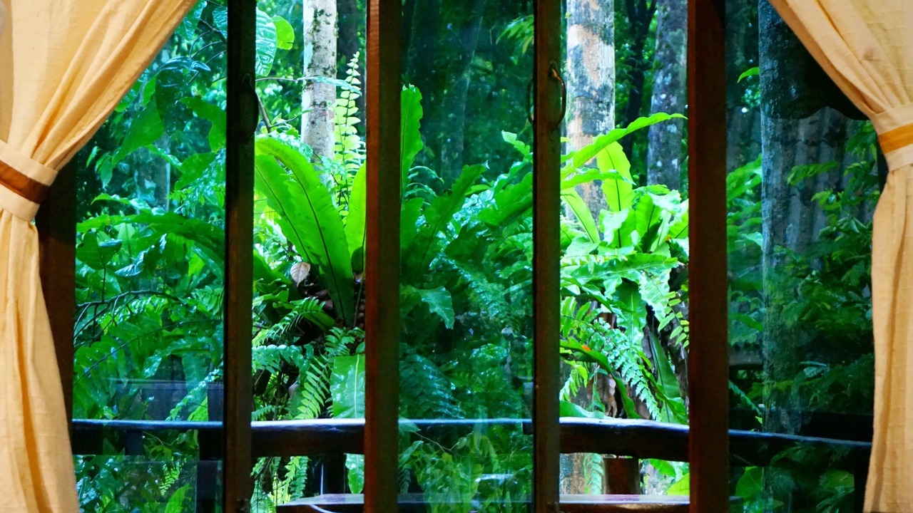 Photo of Patio Balcony in Khlong Sok