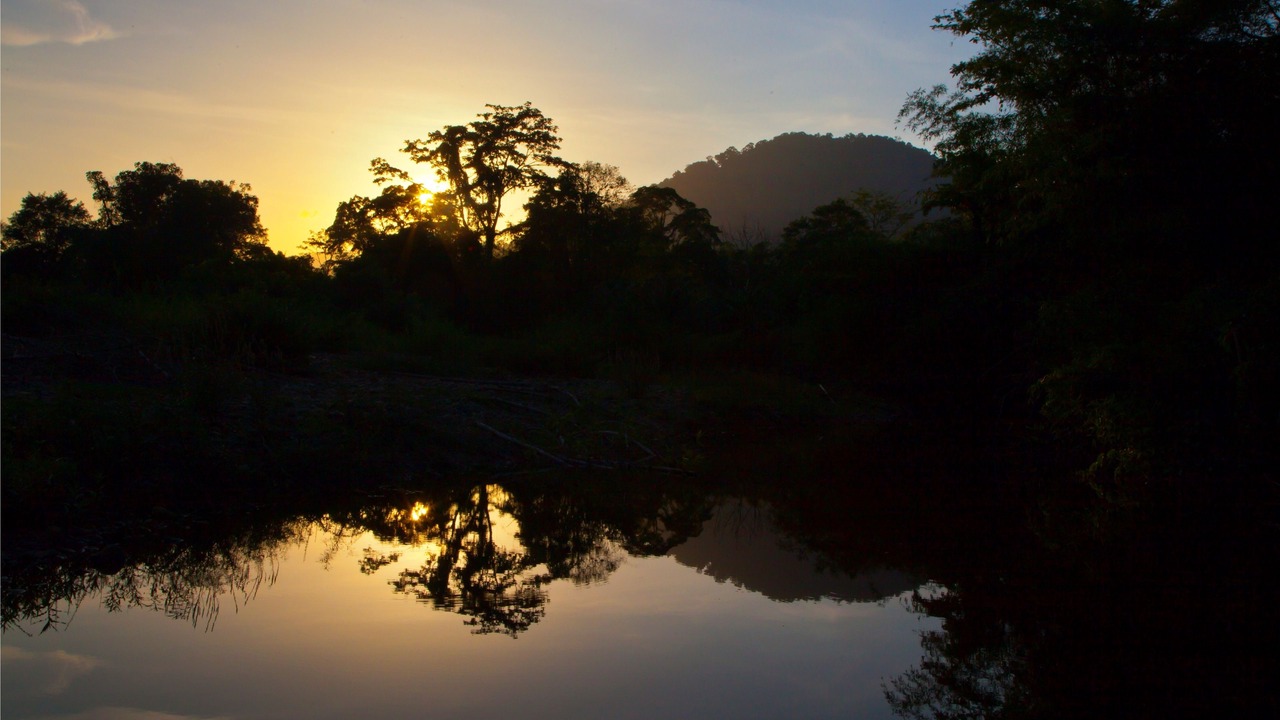 Photo of Others in Khlong Sok