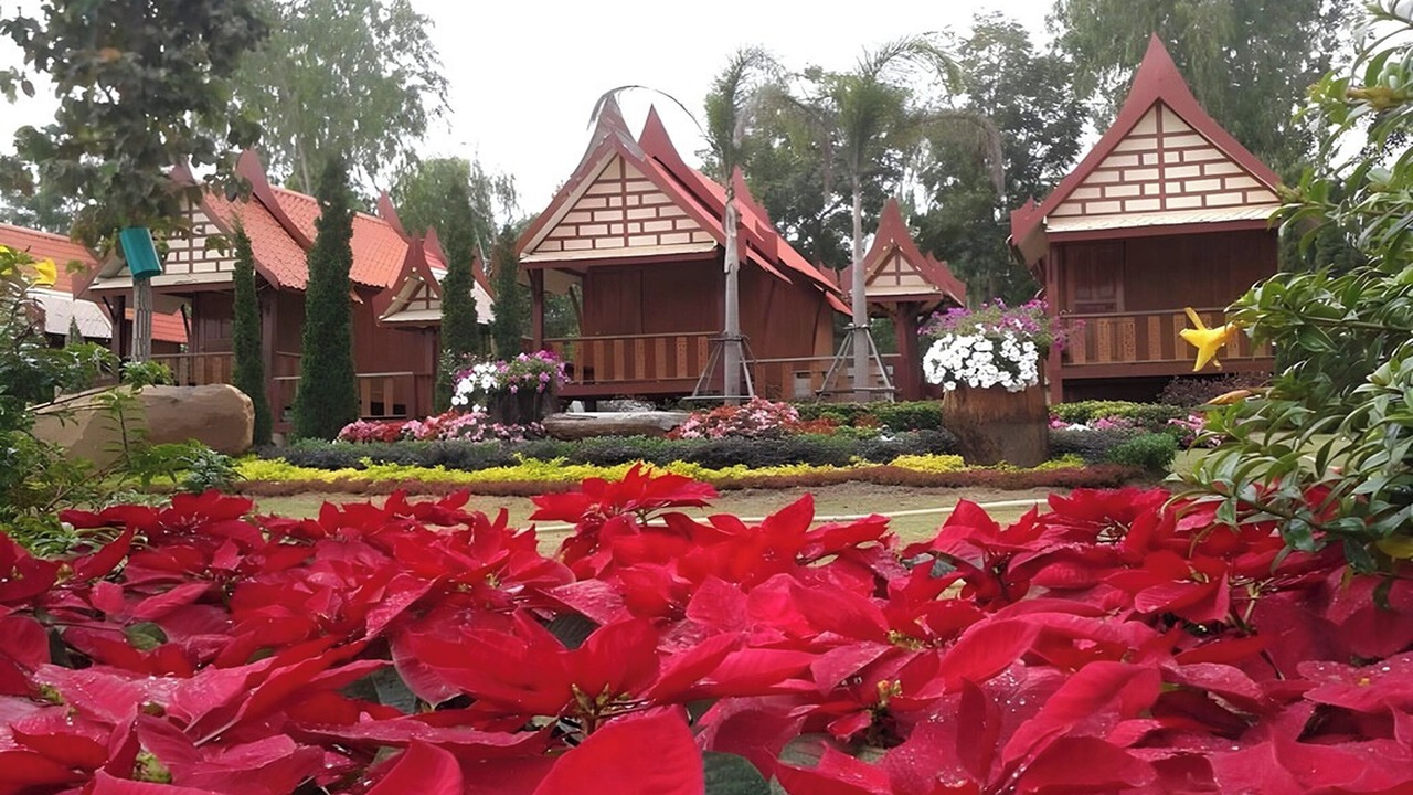 Photo of Outdoor in Sila