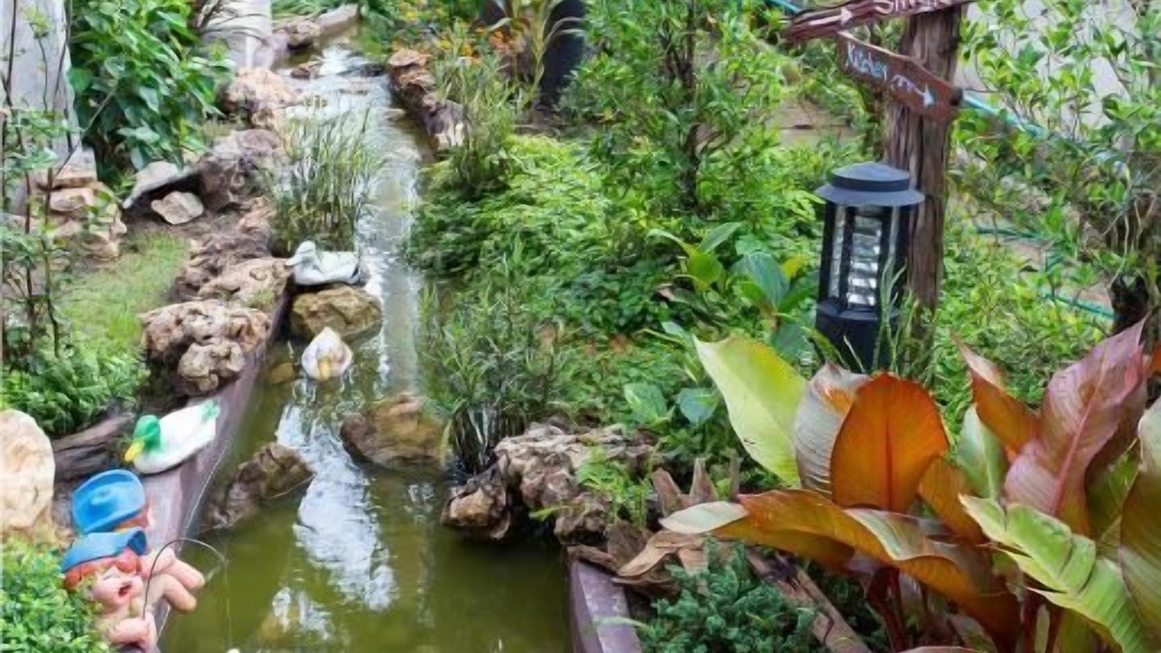 Photo of Outdoor in San Sai