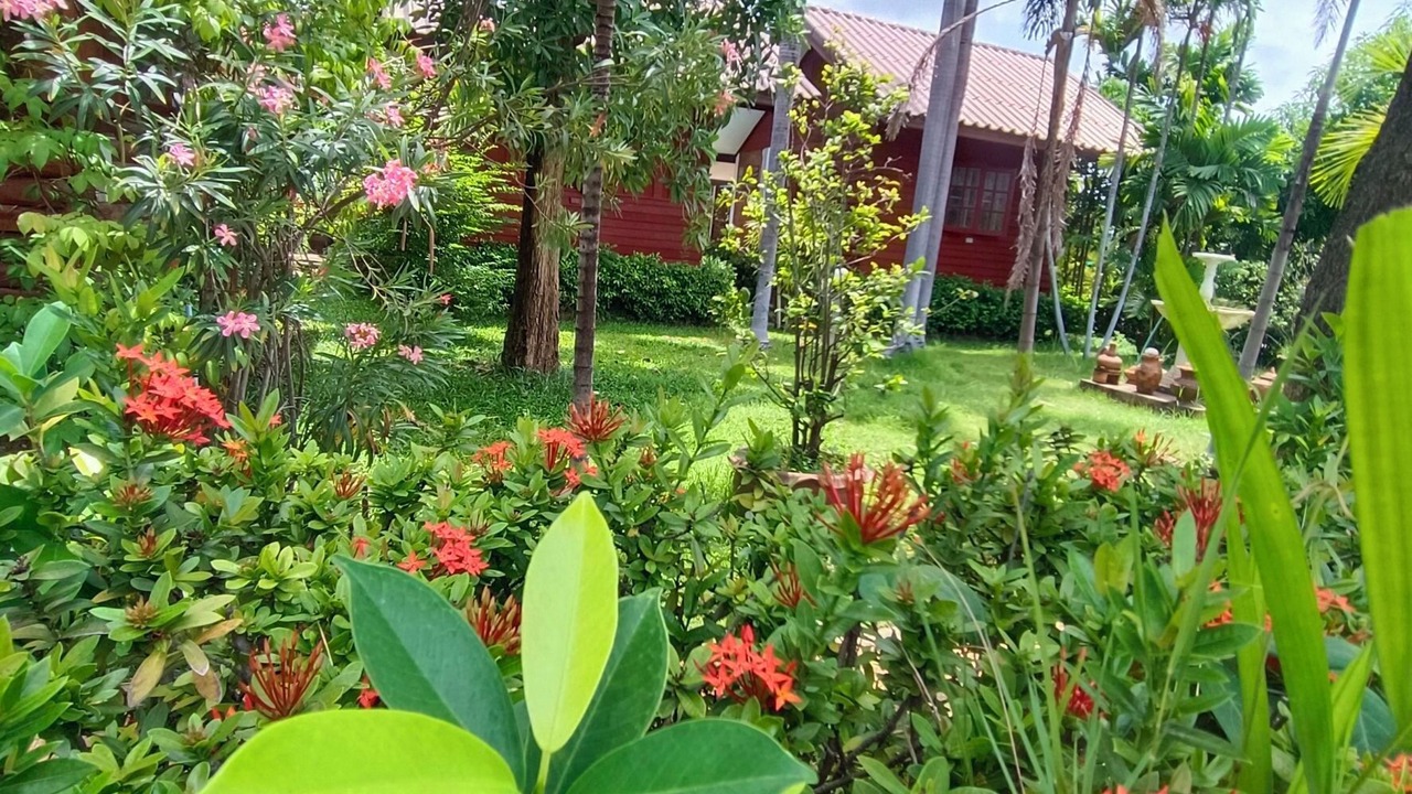 Photo of Outdoor in Thani