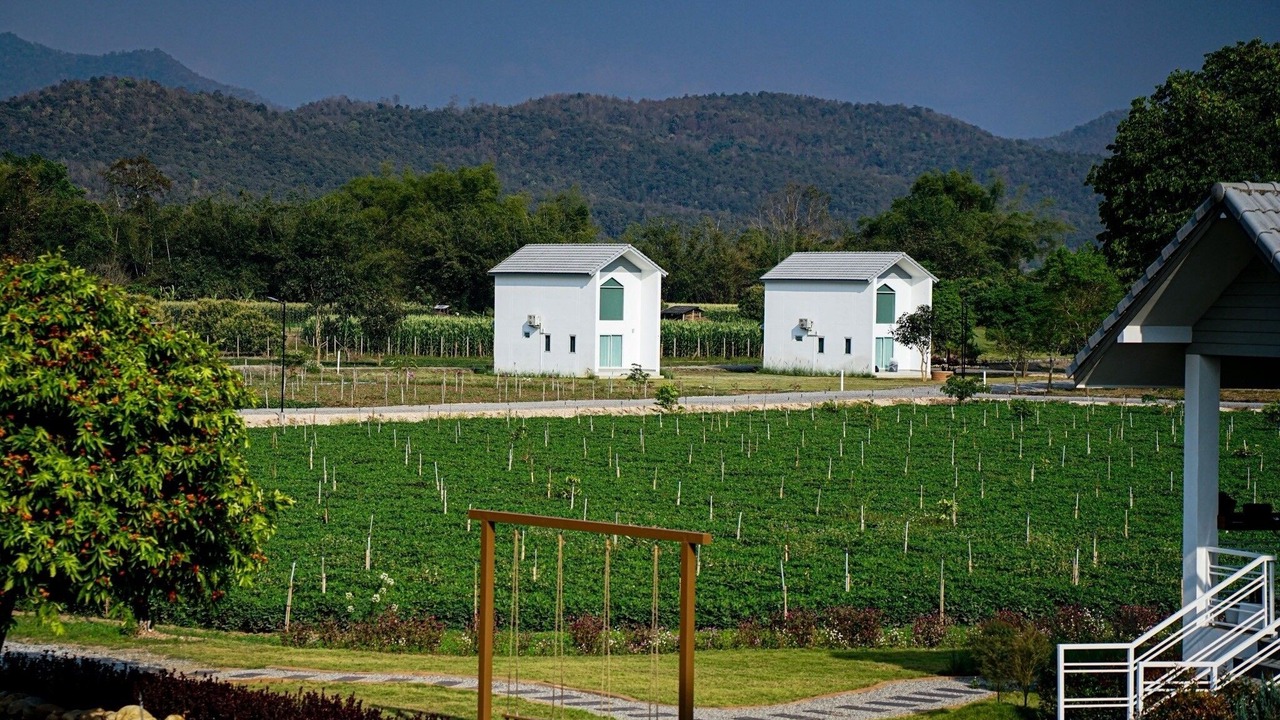Photo of Outdoor in Mae Taeng