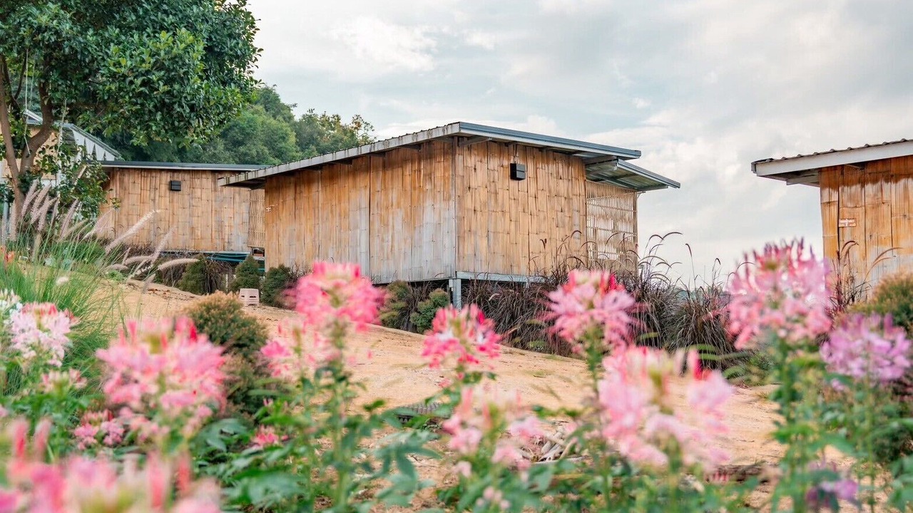 Photo of Outdoor in Pong Yaeng