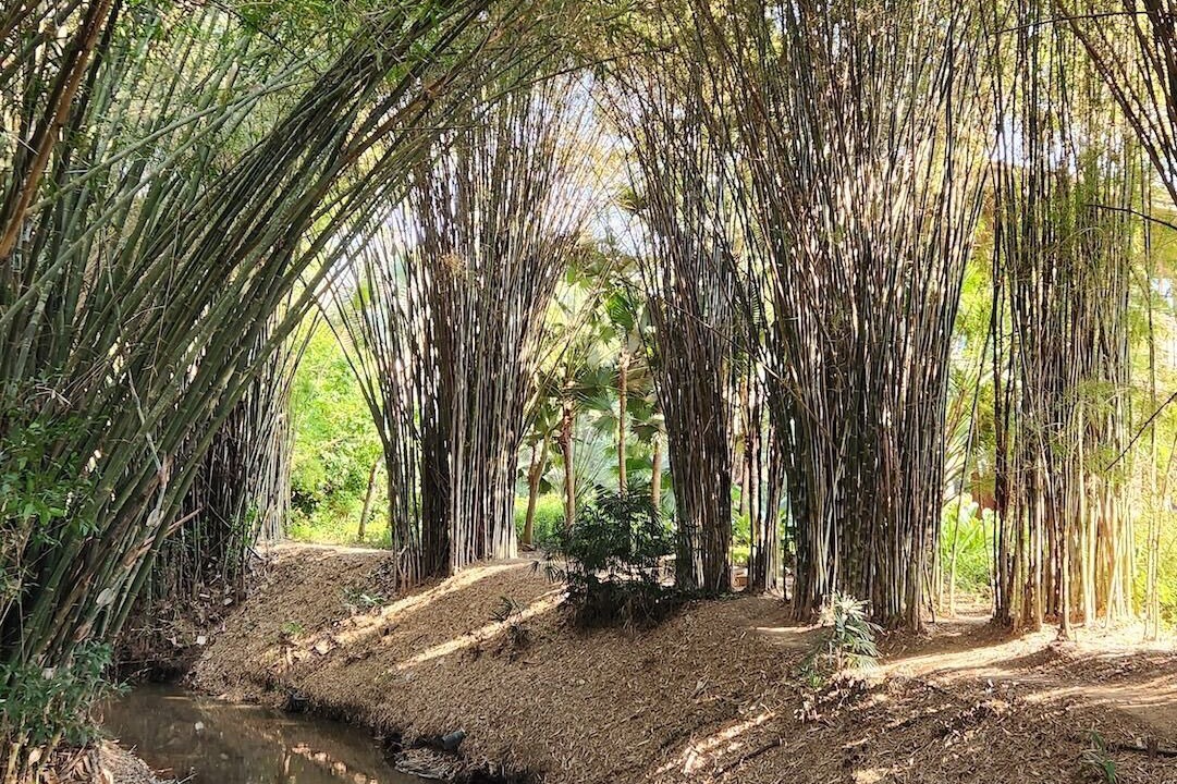 Photo of Outdoor in Wieng