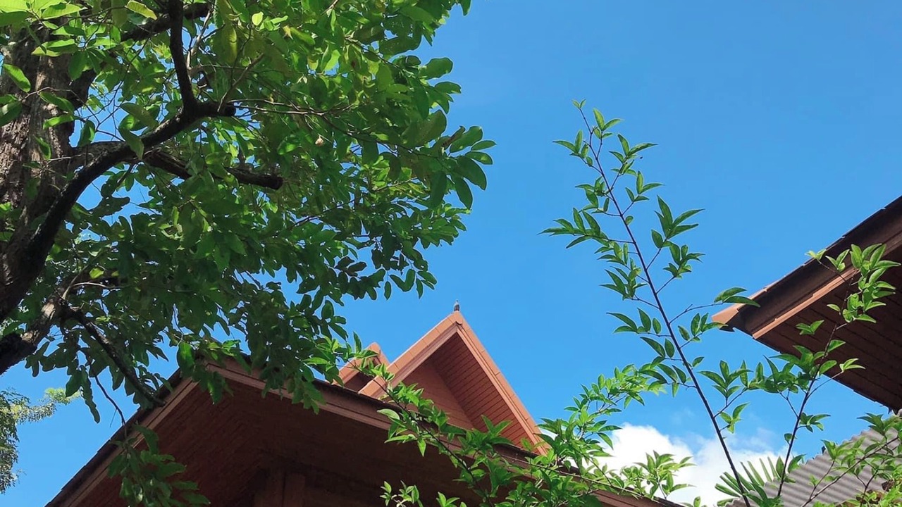 Photo of Outdoor in Tak